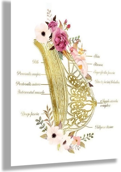 Temperli Cam Jinekoloji Poliklinik Tablosu Çiçekli Meme Dokusu