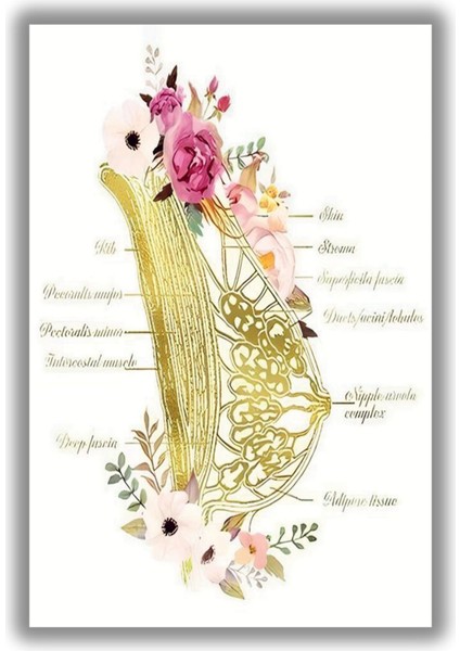 Temperli Cam Jinekoloji Poliklinik Tablosu Çiçekli Meme Dokusu fiyatları