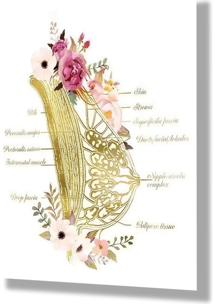 Temperli Cam Jinekoloji Poliklinik Tablosu Çiçekli Meme Dokusu modelleri