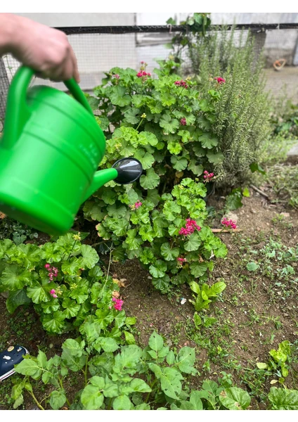 Aslan Plastik Palet 6 Lt Bahçe Sulama Bidonu YEŞİL