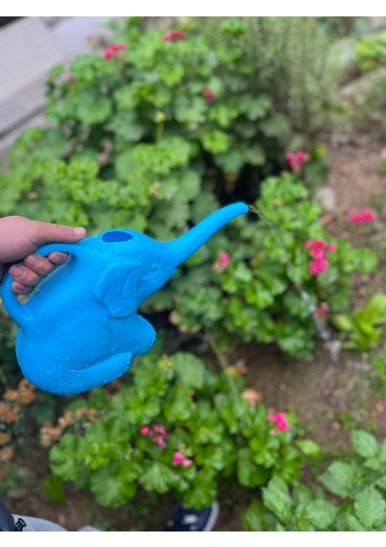 Aslan Plastik Palet 2.0 Lt Bahçe Sulama Bidonu MAVİ (Fil)