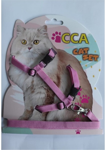 Gato Tasma