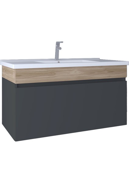 Harmony 100 cm Lavabo Dolabı Füme KB710015