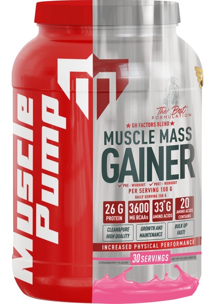 Muscle Mass Gainer Çilek 3000 Gr