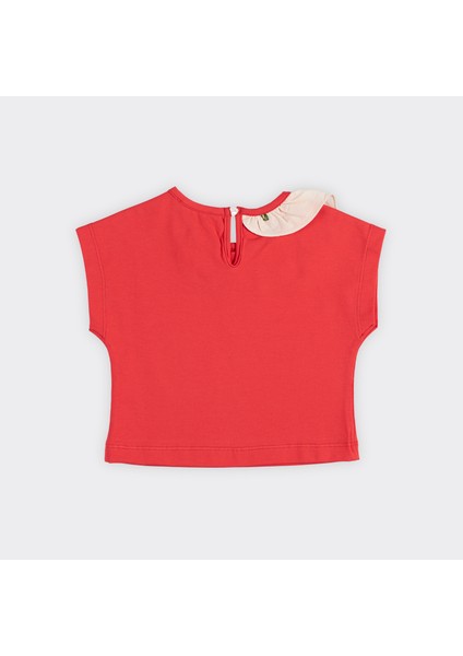 Kız Bebek Yakası Fırfır Detaylı Tişört modelleri