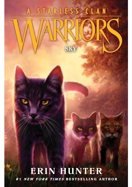 Sky - Warriors. A Starless Clan