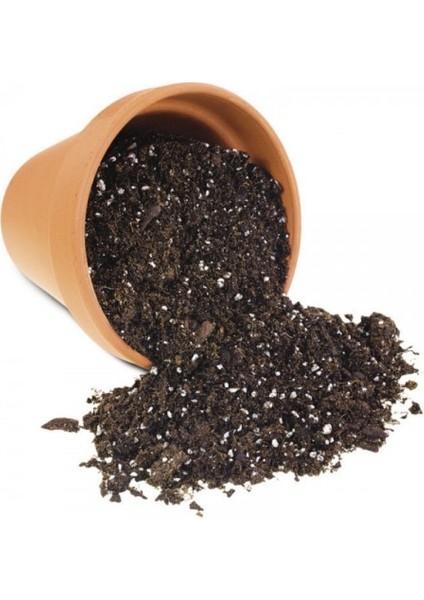 Organik Bitki Toprağı 5 Litre
