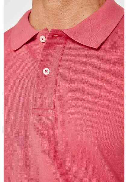 Erkek Slim Fit Dar Kesim Pamuk Düz Pike Pudra Renk Polo Yaka Tişört fırsatları