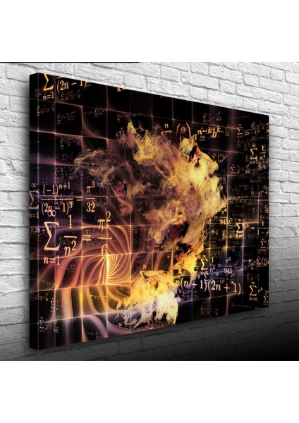 Soyut Matematikçi ve Formüller Kanvas Tablo 50 x 70