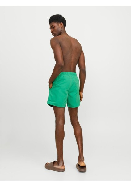 Fiji Solid Erkek Yeşil Mayoşort & Mayo fırsatları