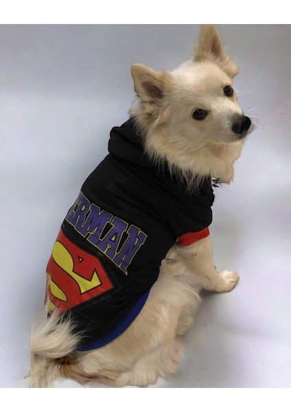 Superdog Gerçek 3 Iplik 10 35 kg Büyük Irk Köpek Sweatshirt