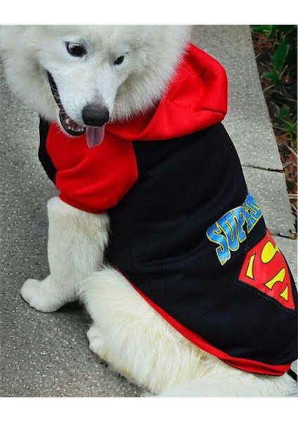 Superdog Gerçek 3 Iplik 10 35 kg Büyük Irk Köpek Sweatshirt