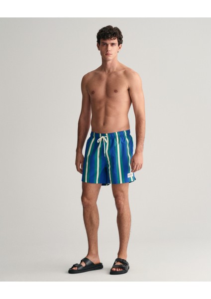 Erkek Mavi Regular Fit Çizgili Mayo Şort 922416007.400