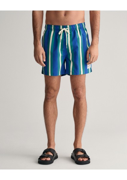 Erkek Mavi Regular Fit Çizgili Mayo Şort 922416007.400 fiyatları