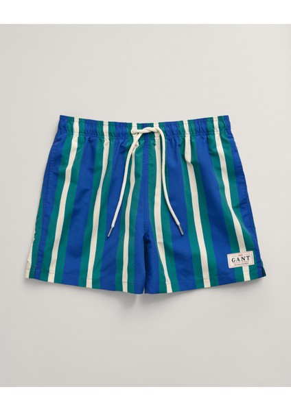 Erkek Mavi Regular Fit Çizgili Mayo Şort 922416007.400 modelleri