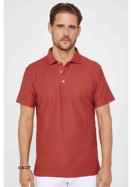 Erkek Slim Fit Dar Kesim Pamuk Armürlü Kiremit Renk Polo Yaka Tişört fiyatları