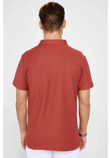 Erkek Slim Fit Dar Kesim Pamuk Armürlü Kiremit Renk Polo Yaka Tişört indirimleri