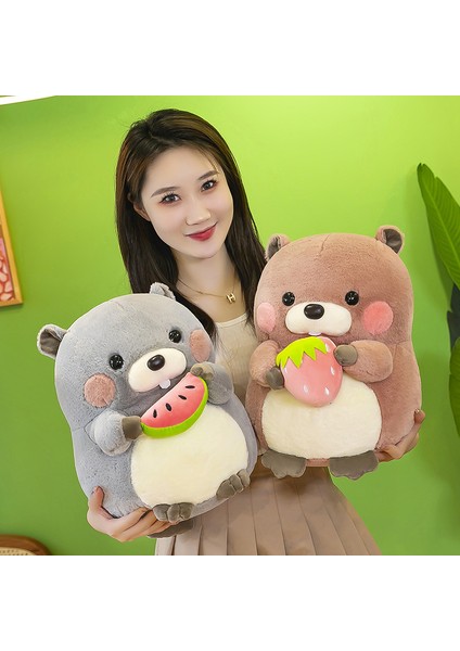 20C'M Marmot Doll Foodie Fare Peluş Oyuncak (Yurt Dışından)