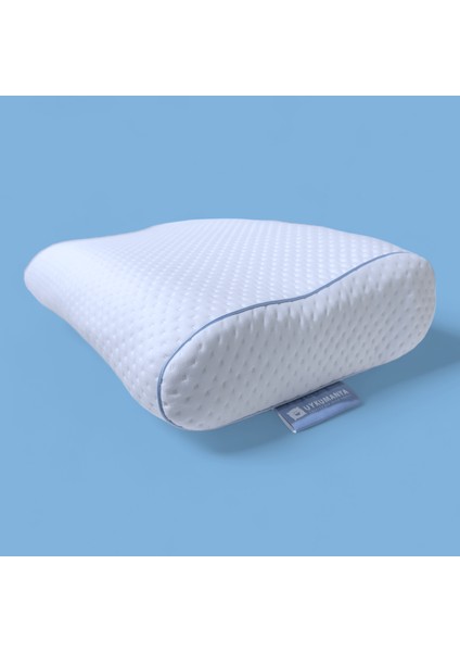 Comfort Pamuk Visco S Yastık 60X40/11/10