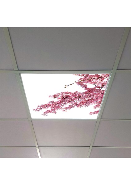60X60 LED Panel Aydınlatma Armatür Avize Sıva Altı Desenli Tekli 46510286SA