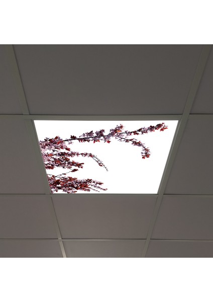 60X60 LED Panel Aydınlatma Armatür Avize Sıva Altı Desenli Tekli 46510173SA