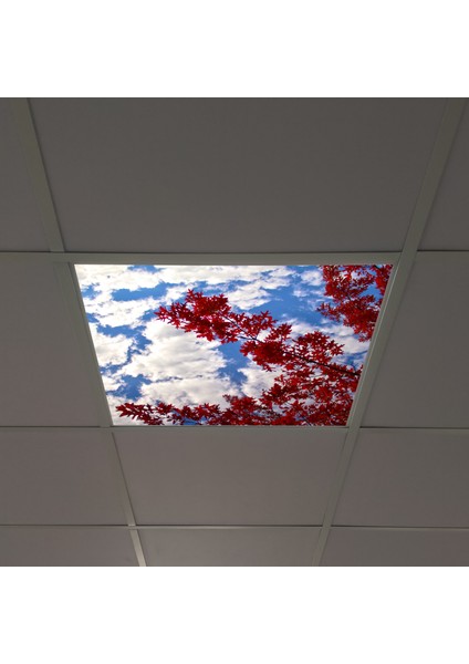 60X60 LED Panel Aydınlatma Armatür Avize Sıva Altı Desenli Tekli 46510208SA