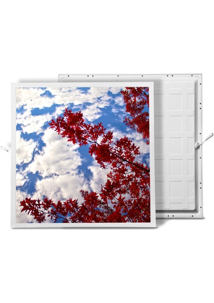60X60 LED Panel Aydınlatma Armatür Avize Sıva Altı Desenli Tekli 46510208SA