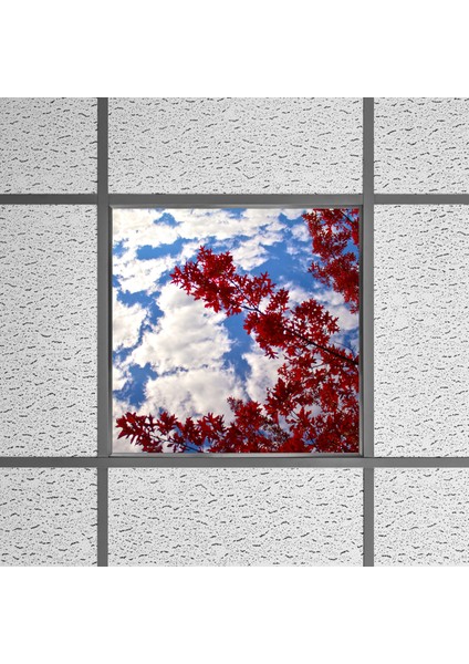 60X60 LED Panel Aydınlatma Armatür Avize Sıva Altı Desenli Tekli 46510208SA