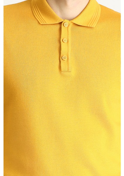 Polo Yaka Regular Fit Pamuklu Triko Kazak indirimleri