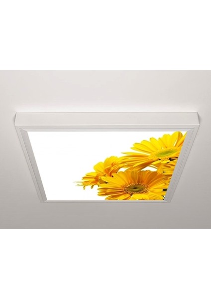 60X60 LED Panel Aydınlatma Armatür Avize Sıva Üstü Desenli Tekli 46510783SU