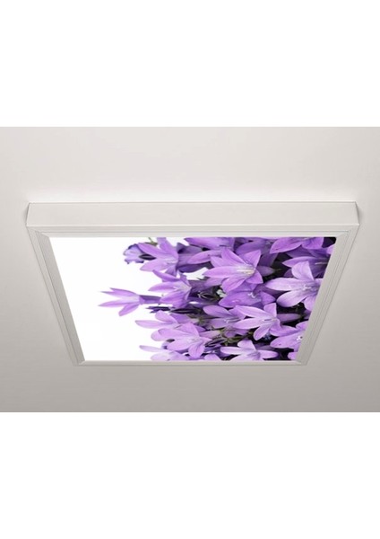 60X60 LED Panel Aydınlatma Armatür Avize Sıva Üstü Desenli Tekli 46510729SU