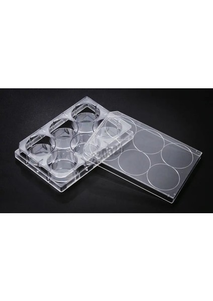 Plak-Hücre Kültürü Için Düz Taban Steril 10 Adet (cell culture plate)