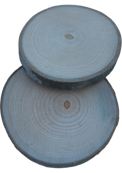 Ahşap Hobi Boyama Hediyelik Odun Kütük Dilimi 6-7 cm Çap (10 Adet)
