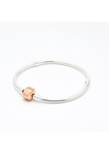 17CM Tarzı No.2 Boyutu Yüksek Li Gümüş Kaplama Klasik Kalp Yılan Zincir Pan Boncuklu Dıy Charm Boncuk Bilezik Kadın Hediyeler (Yurt Dışından) fırsatları