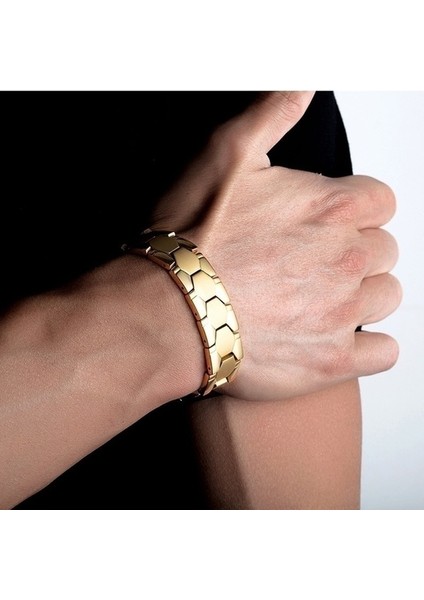 Gümüş Erkek Takı Gauss Titanyum 316L Paslanmaz Çelik Biyo Manyetik Bilezik Erkekler Için Terapi Sağlık Enerji Bilezik Pulsera Hom (Yurt Dışından)