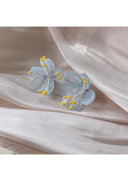 Çiçek Küpeler, Çok Yönlü Yumuşak Mizaçlı Tatil Küpeleri (Yurt Dışından) fiyatları