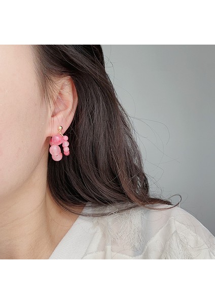 Üzüm Şekilli Küpeler, Aksesuarlarla Şık Giyim (Yurt Dışından) modelleri