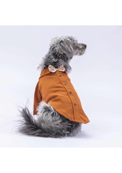 Kahverengi Linen Look Kedi Köpek Gömleği