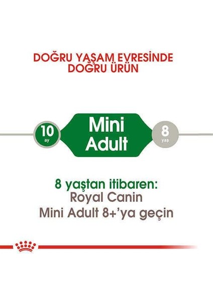 Mini Adult Küçük Irk Yetişkin Köpek Maması 2 Kg