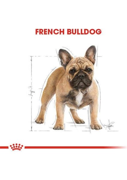 French Bulldog Adult Yetişkin Köpek Maması 3 Kg