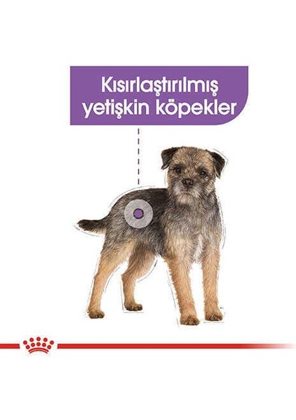 Mini Sterilised Kısırlaştırılmış Yetişkin Köpek Maması 3 Kg