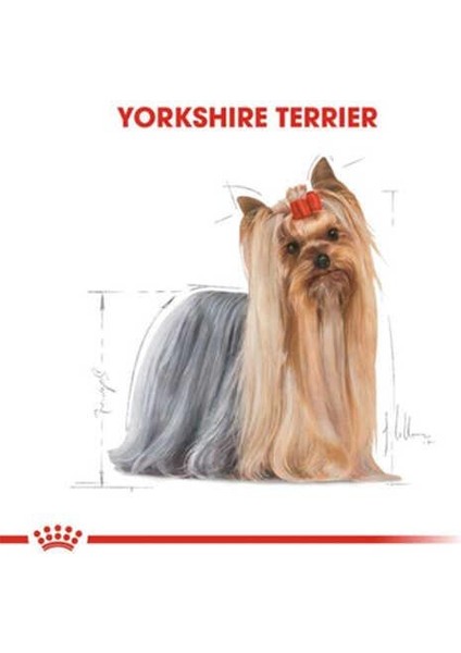 Yorkshire Terrier Adult Yetişkin Köpek Maması 1,5 Kg