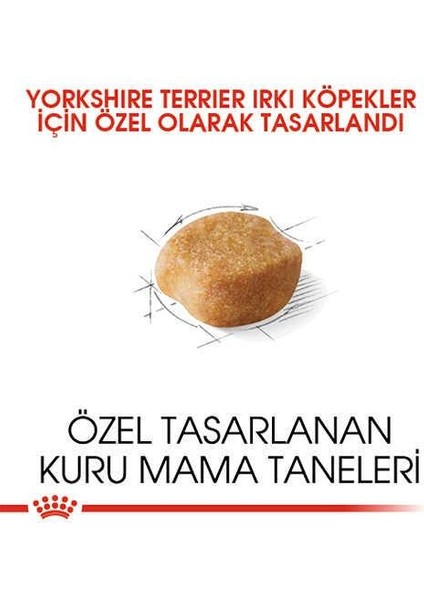 Yorkshire Terrier Adult Yetişkin Köpek Maması 1,5 Kg
