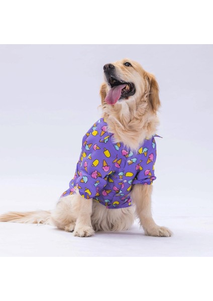 Ice Cream Orta ve Büyük Irk Köpek Gömleği 15 kg 45 kg