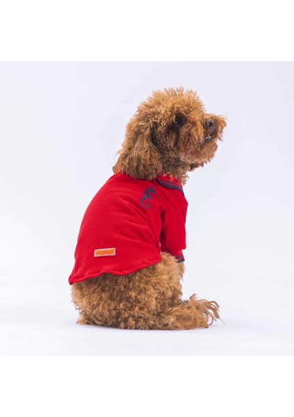 Kırmızı Marine Polo Yaka Kedi Köpek Tişörtü- Kedi Köpek Kıyafeti