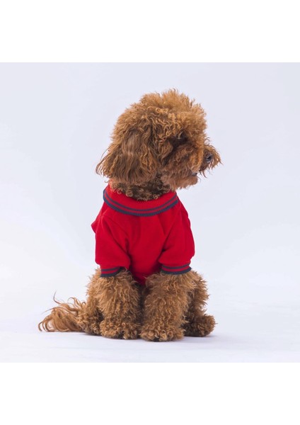 Kırmızı Marine Polo Yaka Kedi Köpek Tişörtü- Kedi Köpek Kıyafeti fiyatları