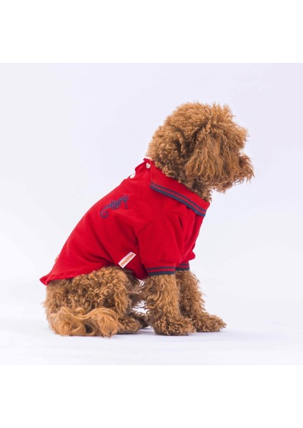 Kırmızı Marine Polo Yaka Kedi Köpek Tişörtü- Kedi Köpek Kıyafeti modelleri