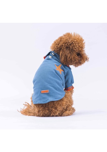 Mavi Marine Polo Yaka Kedi Köpek Tişörtü- Kedi Köpek Kıyafeti