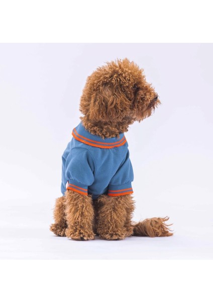 Mavi Marine Polo Yaka Kedi Köpek Tişörtü- Kedi Köpek Kıyafeti fiyatları