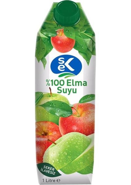 %100 Elma Suyu 1 L x 12